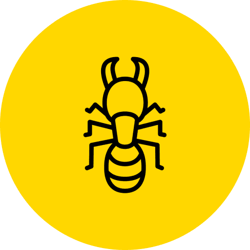 Termite Inspection